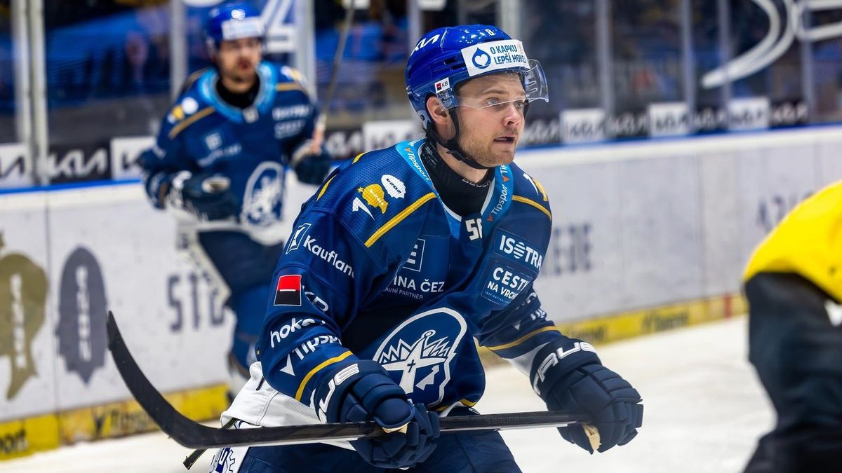 Poslední Litvínov posiluje defenzivu. Přichází Lotyš, který už extraligu zná